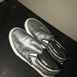 Sliver Vans